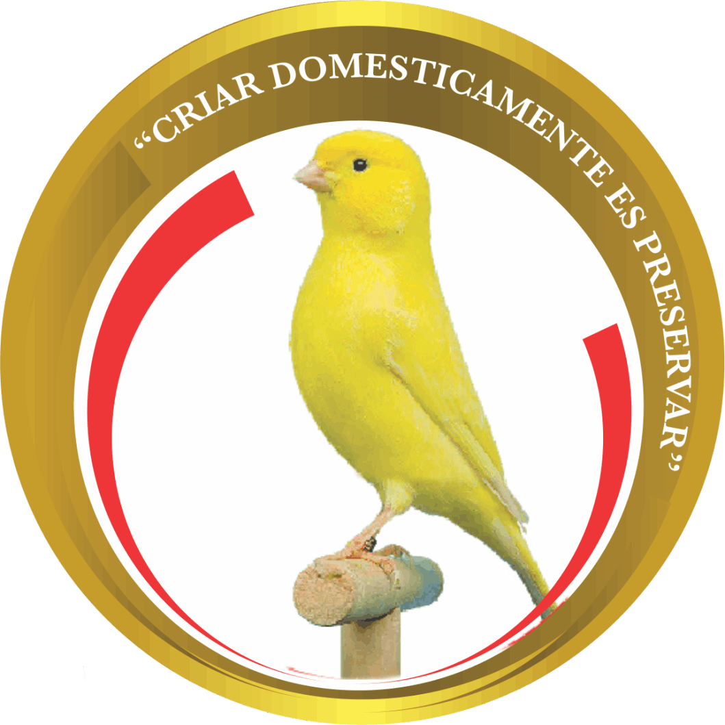 Criar Domésticamente Es Preservar